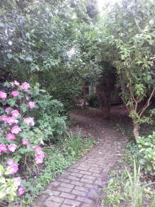 a garden with pink roses and a brick path at Town House in Ennis