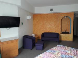 1 dormitorio con cama, espejo y TV en Hotel Inn Sur, en Ciudad de México