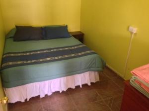 a bedroom with a bed in a green room at Cota6000 Expediciones Dpto A in San Pedro de Atacama
