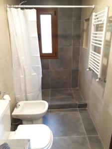 a bathroom with a toilet and a shower at Las Liebres in San Carlos de Bariloche +13 photos
