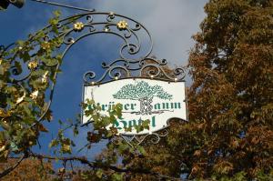 Fotografie z fotogalerie ubytování Hotel Grüner Baum v destinaci Bretzenheim