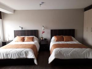 Postel nebo postele na pokoji v ubytování Hotel La Algodonera