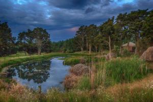 a small pond in the middle of a field at The Yurt Wai Rua in Whangarei
