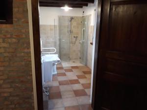a bathroom with a shower and a toilet and a sink at Agriturismo San Gallo in Strassoldo +28 photos