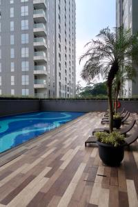 a rooftop swimming pool with a palm tree and buildings at Bacup Studio Apartment @Galeri Ciumbuleuit in Bandung