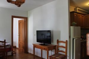 a living room with a television on a table and a kitchen at Apartamentos Rurales Rosendo: El Celindo in Capileira