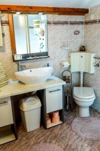 a bathroom with a sink and a toilet and a mirror at Apartments Pyros in Piran