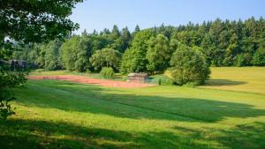 a grassy field with a skate park in the distance at Fewo Schächtelschleif in Waldmünchen