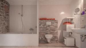a bathroom with a shower and a toilet and a sink at Fewo Schächtelschleif in Waldmünchen +8 photos
