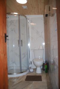 łazienka z prysznicem i toaletą w obiekcie The Wonderly Wagon w mieście Fintown