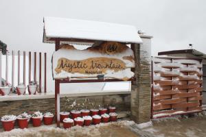 Hotel Mystic Mountain saat musim dingin