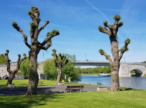 een groep bomen in een park met een brug op de achtergrond bij Ferienwohnung am Schlössle in Ochsenfurt
