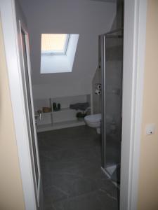 a bathroom with a shower and a toilet and a window at Café im Hof in Streufdorf