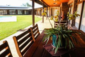 a wooden table with a potted plant on a patio at Pheasant's Rest in Newcastle