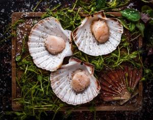 three oysters on a cutting board on a table at The White Lion Hotel in Aldeburgh