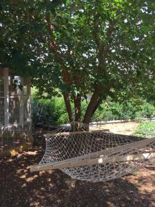A garden outside Agrilia Maison