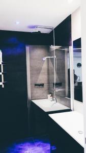 a bathroom with a shower and a white sink at APARTAMENTO ROMANTICO WiFi FREE PARKING AREA in Donostia-San Sebastián