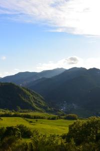 vistas a un valle verde con montañas en B&B Luna e Stelle, en Premilcuore