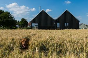 The Fieldbarns at Bullocks Farm