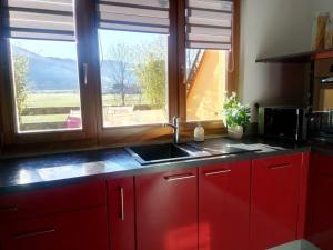 d'une cuisine avec des placards rouges, un évier et une fenêtre. dans l'établissement Evasion Nature, à Oberbruck