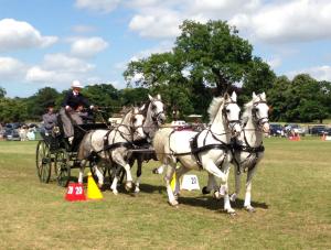 a group of horses pulling a carriage in a field at The Hamlet in Cromer