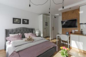 Televízia a/alebo spoločenská miestnosť v ubytovaní Central Apartments Piwna