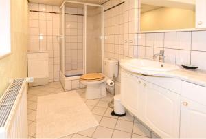 a bathroom with a toilet and a sink and a shower at Haus Löcknitz - Ferienhaus in Lenzen (Elbe) in Lenzen