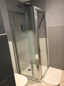 
a shower stall with a glass shower door at Hôtel Les Frangins in Saint-Omer
