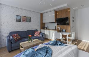 Televízia a/alebo spoločenská miestnosť v ubytovaní Central Apartments Piwna