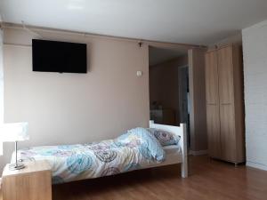 a bedroom with a bed and a flat screen tv on the wall at Agroturystyka Skrzeczówka in Krajno Pierwsze