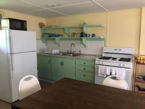 a kitchen with green cabinets and a white refrigerator at Rainbow Shores in Pulaski