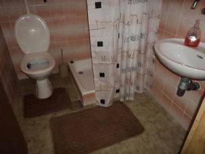 Koupelna v ubytování Apartmani Kolenić + 29 fotografií