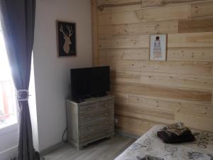 a bedroom with a wooden accent wall and a television at STUDIO COSY LE ROYAL SKI 3 VALLÉES in Brides-les-Bains