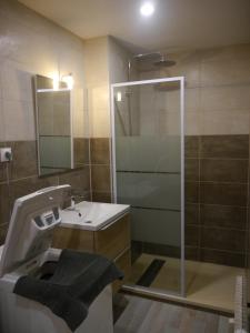 a bathroom with a shower and a sink at STUDIO COSY LE ROYAL SKI 3 VALLÉES in Brides-les-Bains