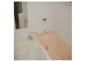 a bathroom with a bath tub and a mirror at GuestHouse StrawberryFarm Shirasaki-Ⅱ / Vacation STAY19358 in Ōbiki