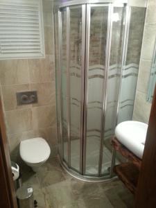 a bathroom with a shower and a toilet and a sink at Amazon Petite Palace in Selçuk