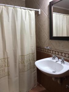 baño con lavabo y cortina de ducha en Departamento a 200 mts de la laguna en Chascomús