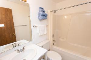 a bathroom with a sink and a toilet and a shower at The Sierra Motel in Traverse City