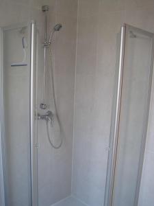 a shower in a bathroom with a glass shower stall at Wohnung im Park in Thulendorf