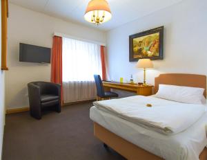 TV a/nebo společenská místnost v ubytování Hotel Adler