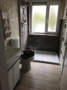 łazienka z toaletą, prysznicem i oknem w obiekcie Ferienwohnung Reuter - Am Meer w mieście Bad Zwischenahn