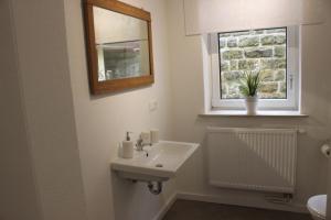 a bathroom with a sink and a window at Apartment Steinbruch in Bad Schandau
