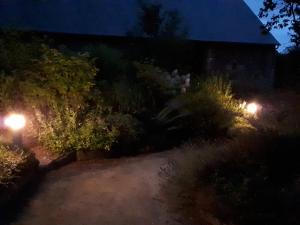 Aux Greniers à Rêves في Plestan: حديقة في الليل مع وجود أضواء في الغابات