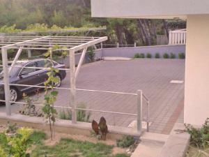 Fotografie z fotogalerie ubytování Permarinus Apartments v destinaci Podstrana
