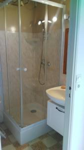 uma casa de banho com um chuveiro e um lavatório. em Jolie maison de Potier em Accolay