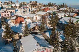eine schneebedeckte Stadt mit Bäumen und Häusern in der Unterkunft Villa 99 in Popova Shapka