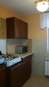 kuchnia z kuchenką i mikrofalówką w obiekcie Noclegi Relax w Zwardoniu