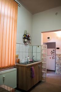 A kitchen or kitchenette at Old Town Apartament Oradea