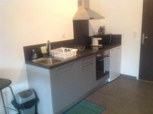 uma cozinha com um lavatório e uma bancada em charmant studio dans résidence neuve et calme em Corte