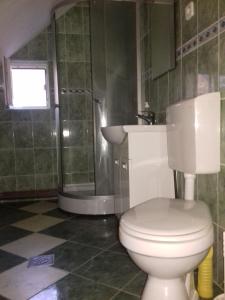 a bathroom with a toilet and a shower and a sink at Casa din prund Ocolis in Ocoliş
